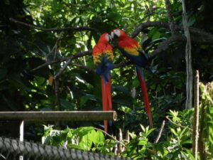 Hacienda Pinilla Resort Luxury Rental Villa